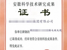 澳门正版资料免费阅读，涉资510.9万元_解读分析